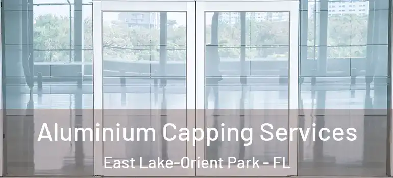  Aluminium Capping Services East Lake-Orient Park - FL