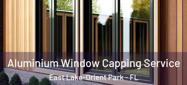  Aluminium Window Capping Service East Lake-Orient Park - FL