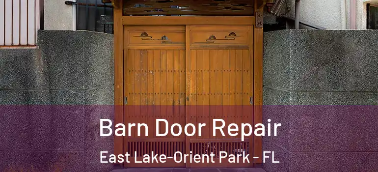  Barn Door Repair East Lake-Orient Park - FL