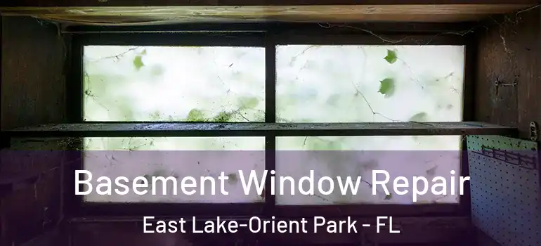  Basement Window Repair East Lake-Orient Park - FL