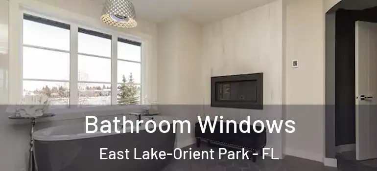  Bathroom Windows East Lake-Orient Park - FL