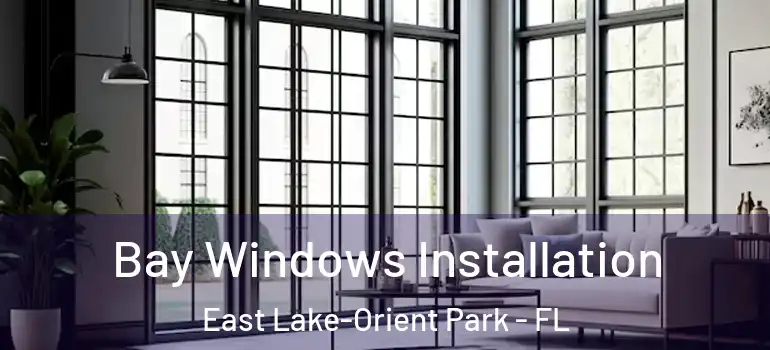  Bay Windows Installation East Lake-Orient Park - FL