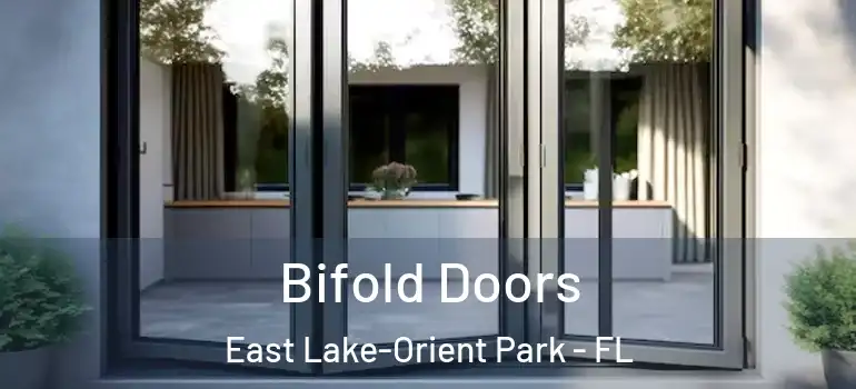  Bifold Doors East Lake-Orient Park - FL