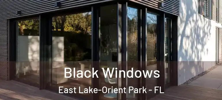  Black Windows East Lake-Orient Park - FL