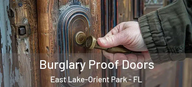  Burglary Proof Doors East Lake-Orient Park - FL