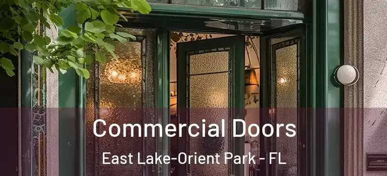  Commercial Doors East Lake-Orient Park - FL