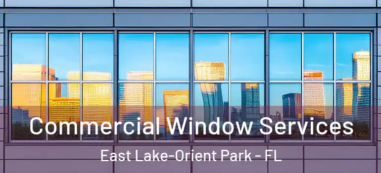  Commercial Window Services East Lake-Orient Park - FL