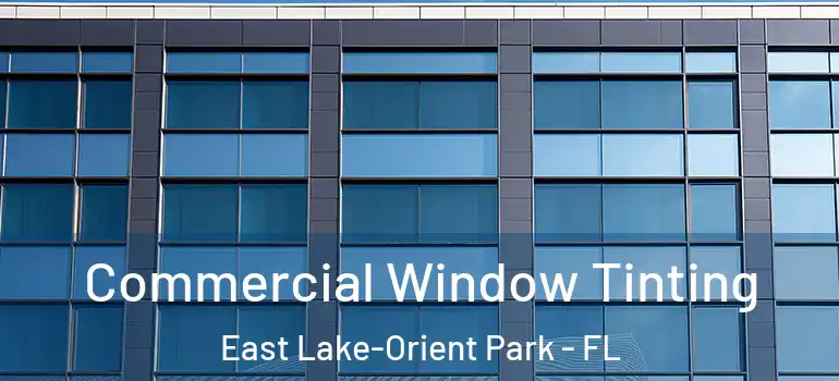  Commercial Window Tinting East Lake-Orient Park - FL
