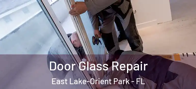  Door Glass Repair East Lake-Orient Park - FL