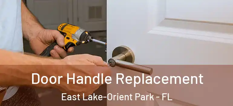  Door Handle Replacement East Lake-Orient Park - FL