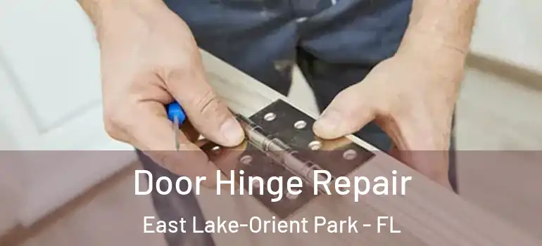  Door Hinge Repair East Lake-Orient Park - FL