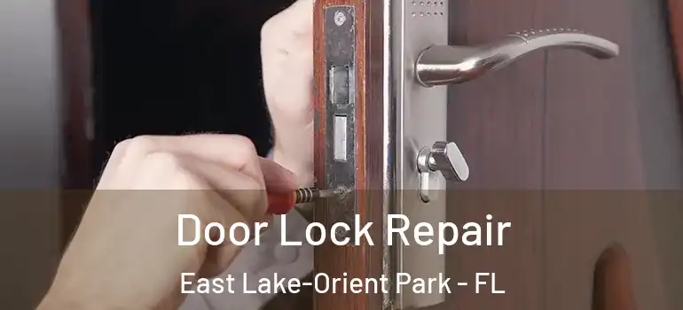  Door Lock Repair East Lake-Orient Park - FL