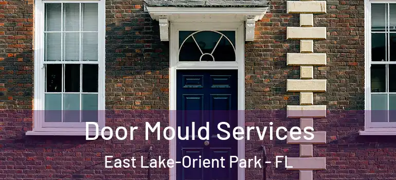  Door Mould Services East Lake-Orient Park - FL