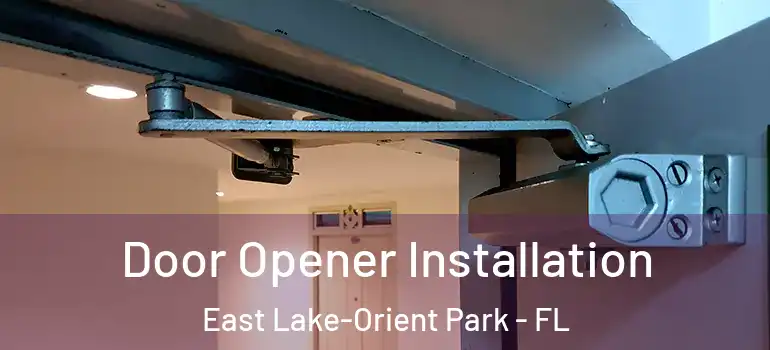  Door Opener Installation East Lake-Orient Park - FL