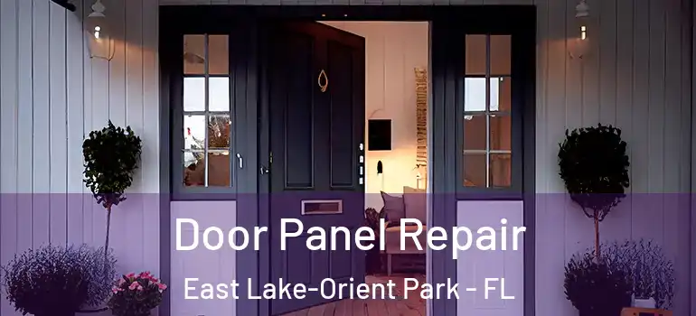  Door Panel Repair East Lake-Orient Park - FL