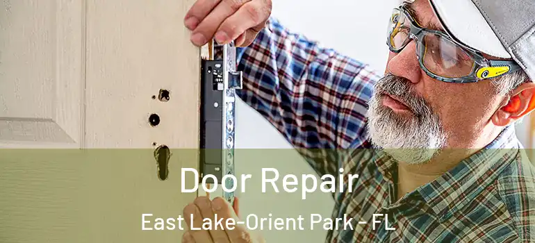  Door Repair East Lake-Orient Park - FL