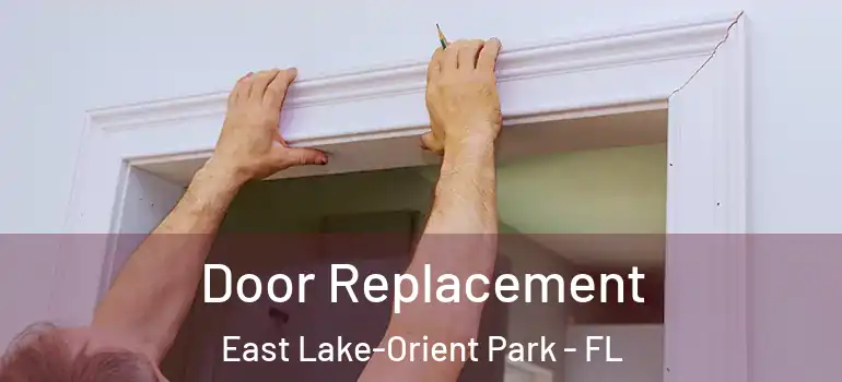  Door Replacement East Lake-Orient Park - FL