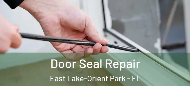  Door Seal Repair East Lake-Orient Park - FL