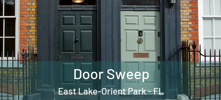  Door Sweep East Lake-Orient Park - FL