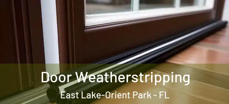  Door Weatherstripping East Lake-Orient Park - FL