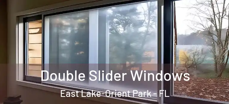  Double Slider Windows East Lake-Orient Park - FL