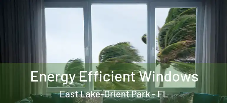  Energy Efficient Windows East Lake-Orient Park - FL