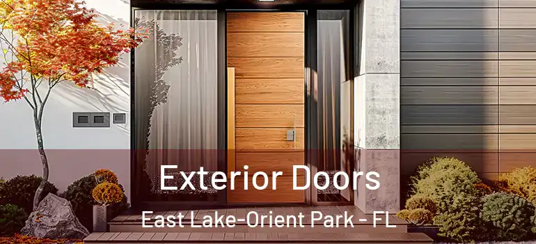  Exterior Doors East Lake-Orient Park - FL