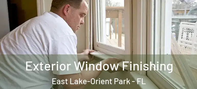  Exterior Window Finishing East Lake-Orient Park - FL