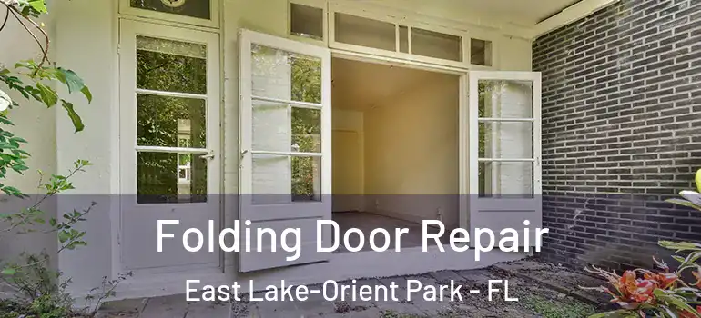  Folding Door Repair East Lake-Orient Park - FL