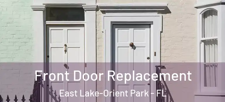  Front Door Replacement East Lake-Orient Park - FL