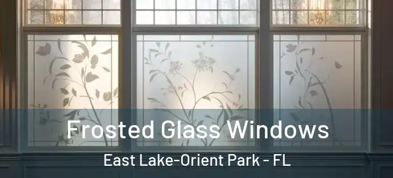  Frosted Glass Windows East Lake-Orient Park - FL