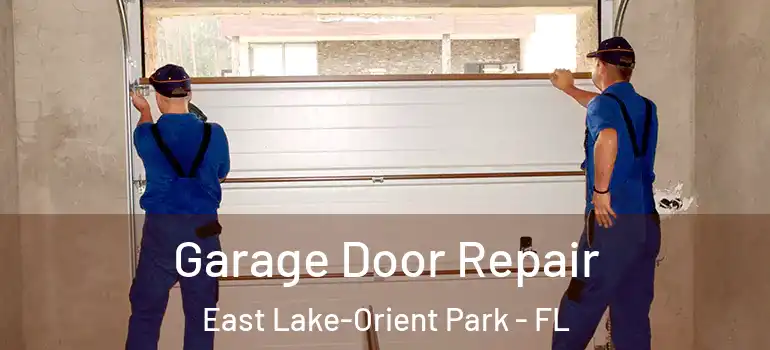  Garage Door Repair East Lake-Orient Park - FL
