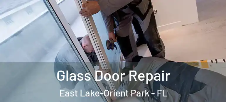  Glass Door Repair East Lake-Orient Park - FL