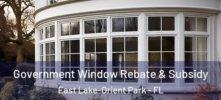  Government Window Rebate & Subsidy East Lake-Orient Park - FL