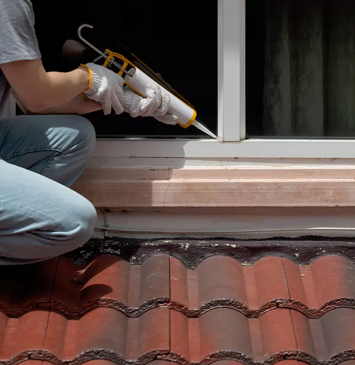 Roof Window Services in East Lake-Orient Park, Florida