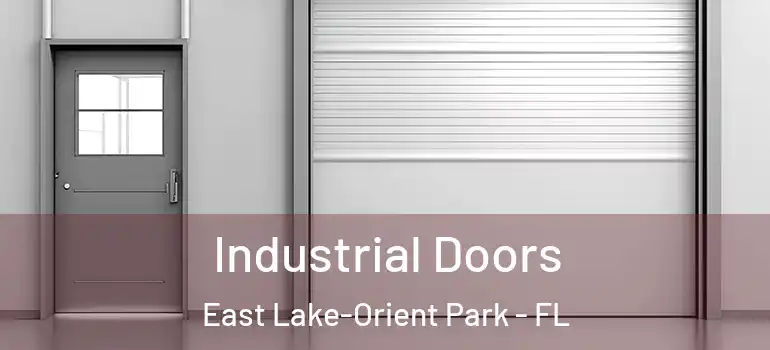  Industrial Doors East Lake-Orient Park - FL