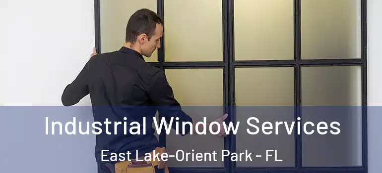  Industrial Window Services East Lake-Orient Park - FL