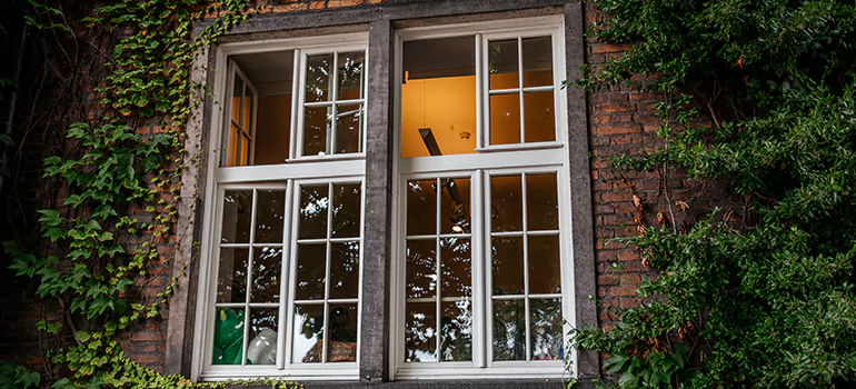 Energy Efficient Wood Windows in East Lake-Orient Park, FL
