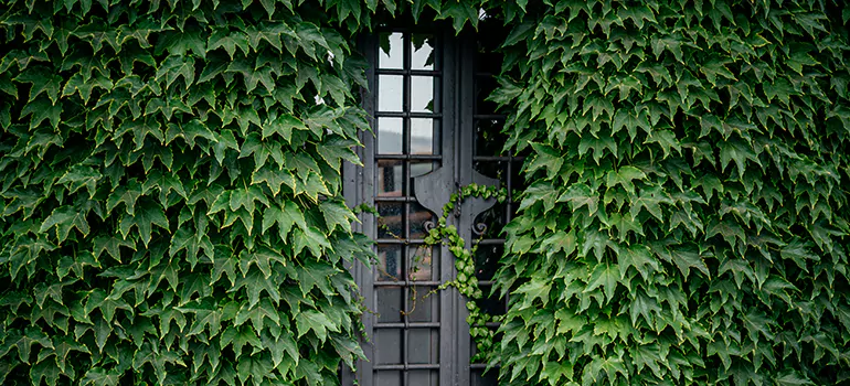Garden Gate Repair in East Lake-Orient Park, FL