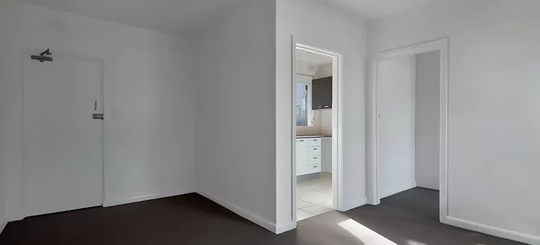 Dark Interior Doors in East Lake-Orient Park, FL