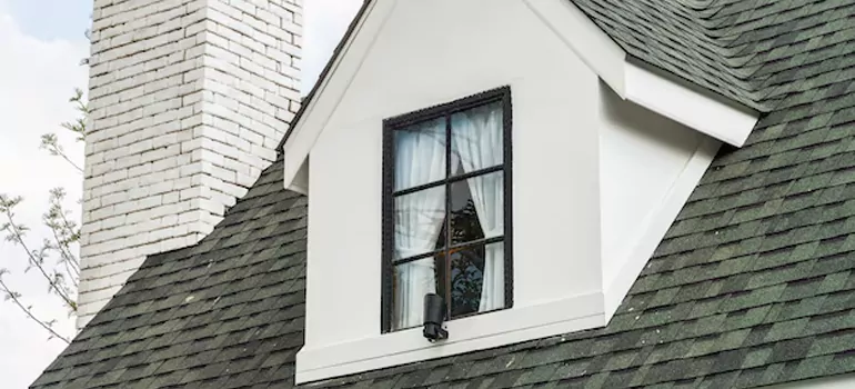 Roof Window Repair in East Lake-Orient Park, FL