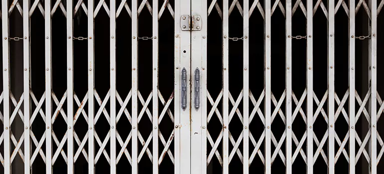 Steel Line Garage Door Repairs in East Lake-Orient Park, FL