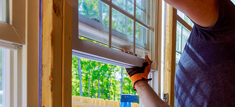 Decorative Window Film Services in East Lake-Orient Park, FL