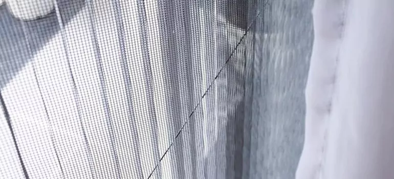 Fixing Screen Window Mesh in East Lake-Orient Park, FL