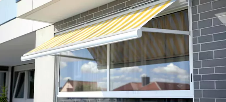 Awning Window Maintenance in East Lake-Orient Park, FL