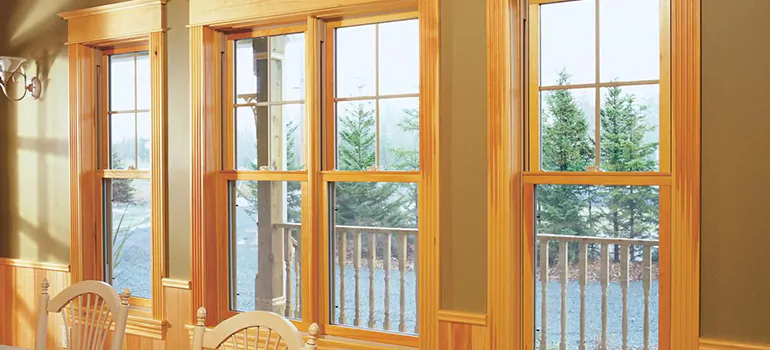 Government Incentives For Replacement Windows in East Lake-Orient Park, FL
