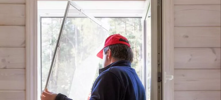 Expandable Window Screen Installation in East Lake-Orient Park, FL