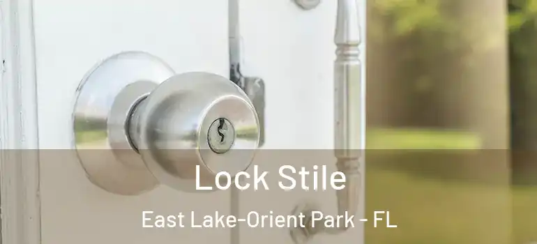  Lock Stile East Lake-Orient Park - FL