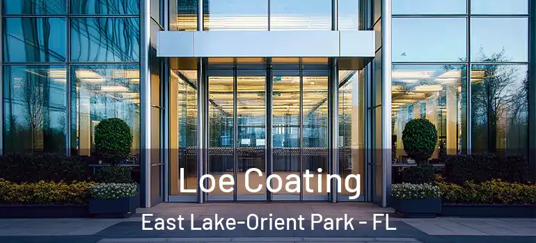  Loe Coating East Lake-Orient Park - FL