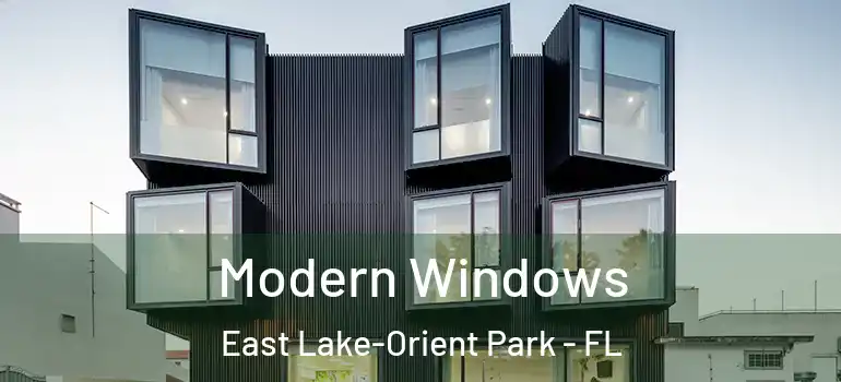  Modern Windows East Lake-Orient Park - FL